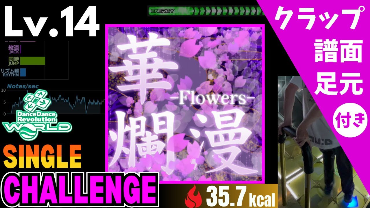 DDR WORLD】Lv.14 華爛漫 -Flowers-（CSP）【譜面＋足元＋クラップ