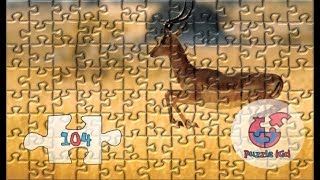 4K UltraHD Learning Animals Gazelle Nursery Jigsaw Puzzles - Puzzle Kid screenshot 3