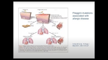 Webinar for healthcare professionals: Early introduction of allergens and food allergy prevention
