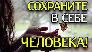 СИЛЬНЫЙ СТИХ! "Сохраните в себе Человека" - Анна Холод (автор Владимир Ток)