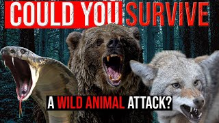 Could you survive an animal attack?