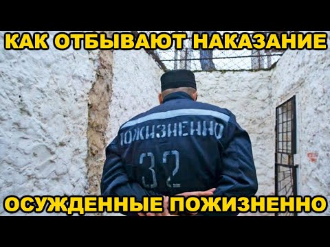 Как Сидят Осужденные Пожизненно В России
