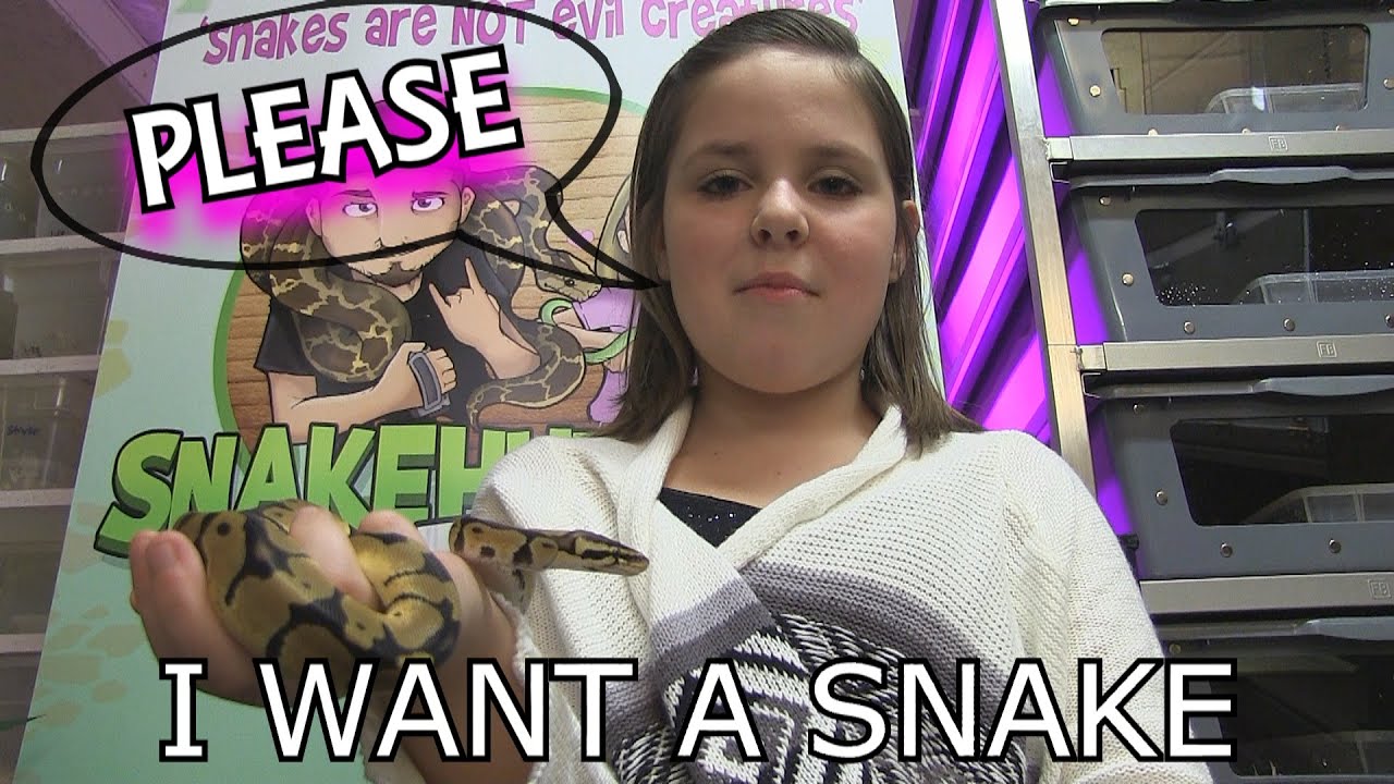 Convincing Parents To Get A Pet Snake!
