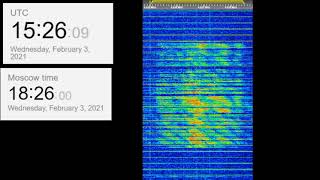 The Buzzer/UVB-76(4625Khz) February 3, 2021 15:25UTC Voice message