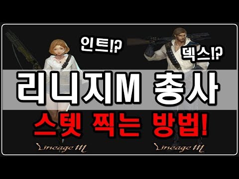 [제이] 리니지M 총사 스탯 찍는법 알려 들릴께요!(인트,덱스)