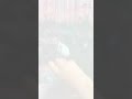 فاندام باديلو في وشو