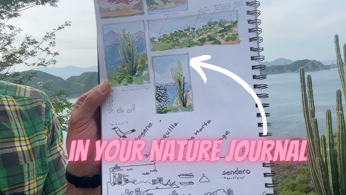 How To Start A Nature Journal - A Beginners Guide