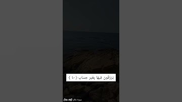 تلاوة خاشعة لسورة غافر {38-40}
