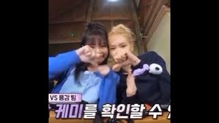 Chaennie Naughty Moments From Blackpink Summer Diary 2021 Everland