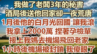 我做了老闆3年的秘書酒局後送他回家卻一夜荒唐1月後他的白月光回國 讓我滾我拿上2000萬 捏著孕檢單接上我媽去機場飛回老家1小時後機場被封鎖 我傻眼了#幸福敲門 #為人處世 #情感故事