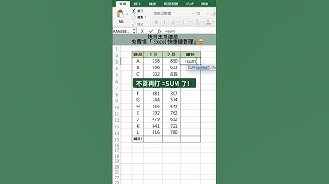 不要再打 =SUM 了！#Excel百科 #Excel教學