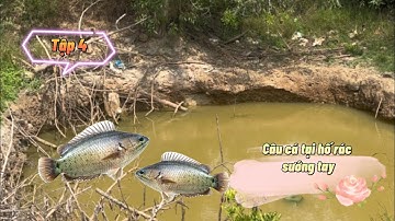 Câu cá tại một hố rác bỏ hoang và cái kết! Giật Rô Đồng đã tay nha! Tập 4