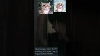 IMG 1159