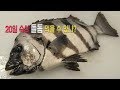 20일 숙성시킨 돌돔 먹을 수 있을까? 맛은?_20 days of aging Rock bream sashimi_Korean street food