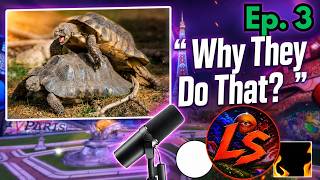 Why Do Turtles Moan When They Mate? What's Our Favorite Foods? | LuvYappin' Podcast Episode 3
