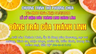 Bài giảng: BÔNG TRÁI CỦA ĐỨC THÁNH LINH - MS Trương Thanh Thiên Ân - 31/05/2020