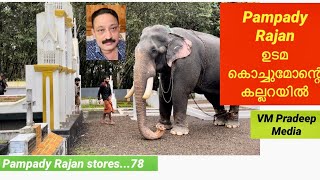 Pampadi Rajan ഉടമ കൊച്ചുമോന്റെ കല്ലറയിൽ Elephant Story