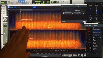 Removing unwanted noises with IZOTOPE RX 7 - the most advanced software to clean up your tracks!