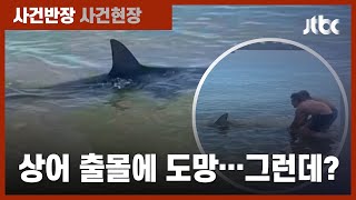 바다에서 뛰쳐나온 상어…도망간 관광객들이 다시 돌아온 이유?  / JTBC 사건반장