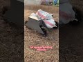Remotely controlled agricultural vehicle spraying China manufacturer factory distributor