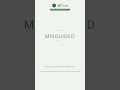 Learn English: What is Misguided? | Vocabulary Shorts