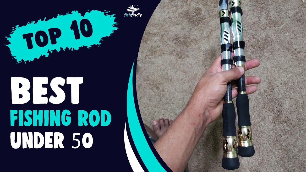 Best Fishing Rod Under 50 in 2022 – Cheap, Top Rated, Exclusive