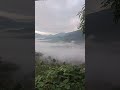 Foggy Mountain view shorts Kerala #Abel Shreya shorts #jeevan ke dukhoon se shorts