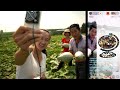 China Hits Alibaba With 2 8 Billion Fine China Hits Alibaba With 2 8 Billion Fine