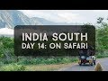 India South Day 14: On safari