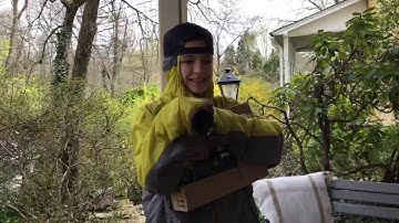 Introvert vs. Extrovert (quarantine edition)