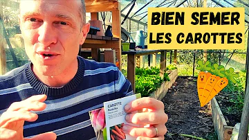 Quand semer des carottes en pleine terre ?