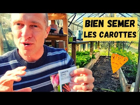 Vidéo: 3 façons de cuisiner les feuilles de betterave