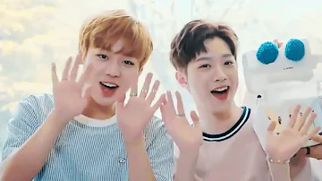 P A N W I N K || Lai Guanlin & Park Jihoon Little Diary ( Gif Ver.)