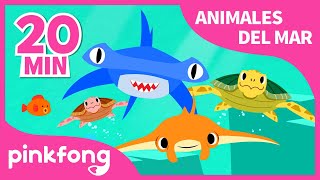 Las Mejores Canciones de Animales del Mar | Tiburón y más música infantil | +Recopilación | Pinkfong