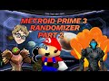 We soft locked Metroid prime 3?! Guess we'll try out Mario Modules!