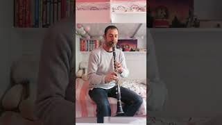 Sen Affetsen Ben Affetmem Amatör Klarnet Resimi