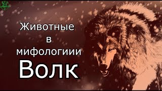 Животные в мифологии: Волк