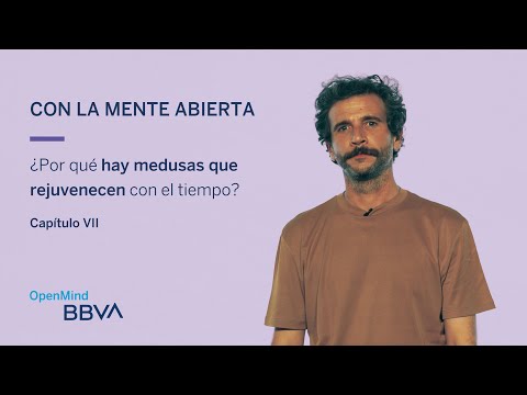 Con la mente abierta VII | Recomendaciones OpenMind
