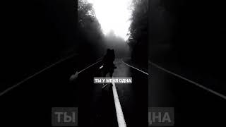 Ты у меня одна словно в ночи луна, словно в степи сосна #f2 #shorts #music #love #tt