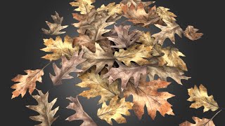 Render Transparent PNG in Arnold without Leaving Maya | Leaves, Grass etc