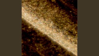 Download Lagu 8 of Pentacles MP3