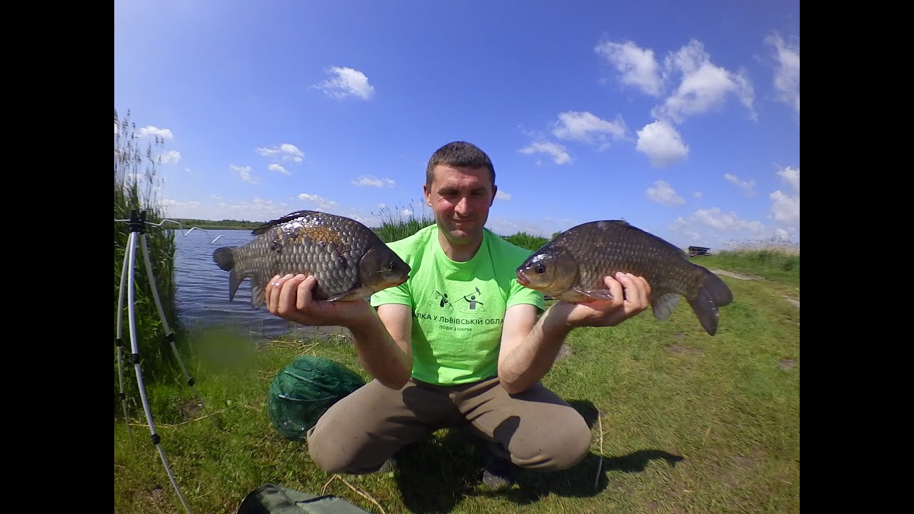 Монстри карасі  --  с. Гамаліївка, Львівська обл.