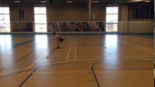 Shuffle + 45 Degree Drop Step + Sprint