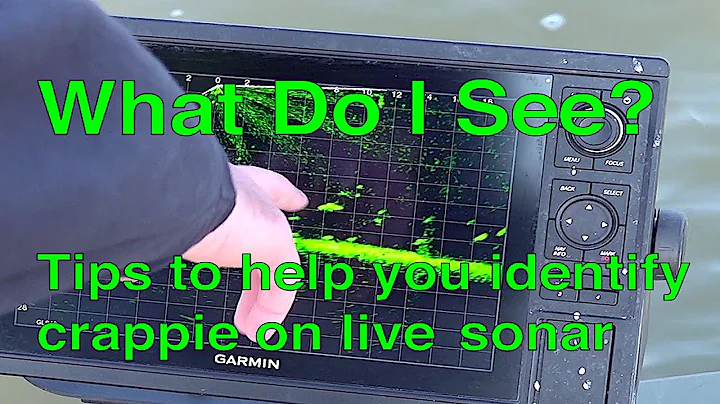 What Do I See on My Live Sonar, featuring Dustin M...