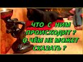 Что происходит с мужчиной? О чём не может сказать? Таро Расклад