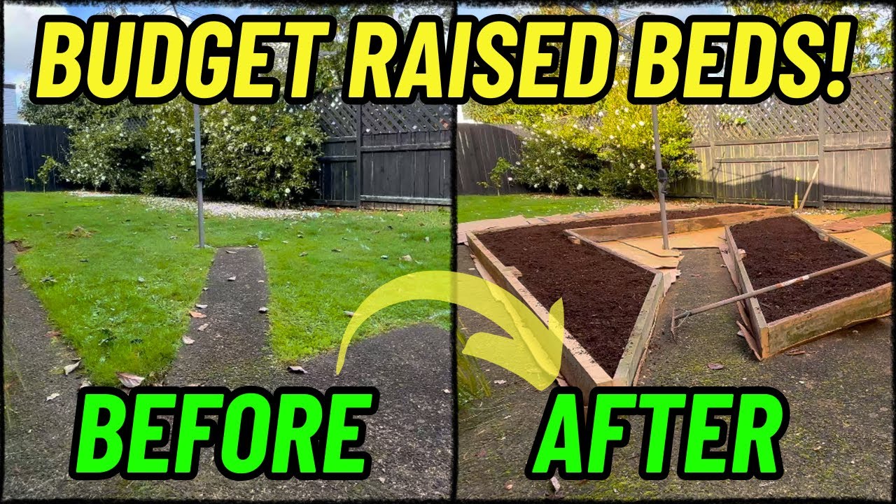 DIY Raised Garden Beds for FREE | Budget No Dig Method 2025 - YouTube