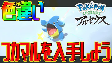 アルセウスなおじろうの部屋フカマル色違い