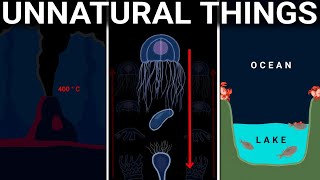The Most Terrifying Things Found in Our Ocean 