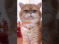 【スカッと】チ〇カン男を捕まえたら→そいつの正体が…！？#スカッとする話