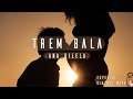 Ana Vilela - Trem-Bala (Lyrics)